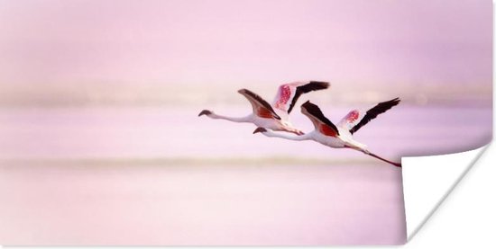 Poster Twee flamingo's tegen een roze lucht - 80x40 cm