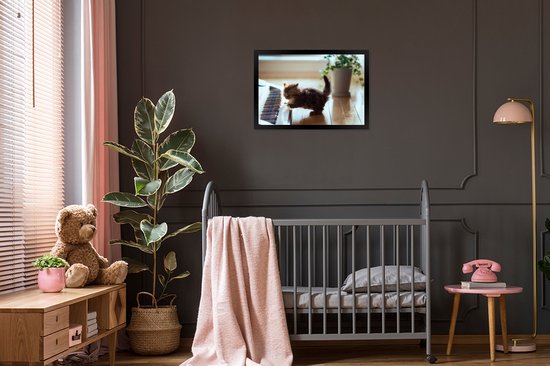 Chaton jouant avec un cadre photo piano noir sans tapis