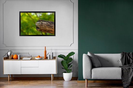 Photo encadrée - Petit hibou brahmane en tronc d'arbre creux cadre photo noir sans passe partout 90x60 cm - Affiche encadrée (Décoration murale salon / chambre)