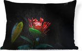 Sierkussens - Kussen - Een foto van een tropische bloem op een zwarte achtergrond - 60x40 cm - Kussen van katoen