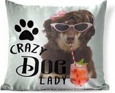 Sierkussen - Honden Quote 'crazy Dog Lady' Op Een Achtergrond Met Een Hond En Een Cocktail