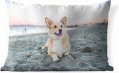 Buitenkussens - Tuin - Hond op het strand - 60x40 cm