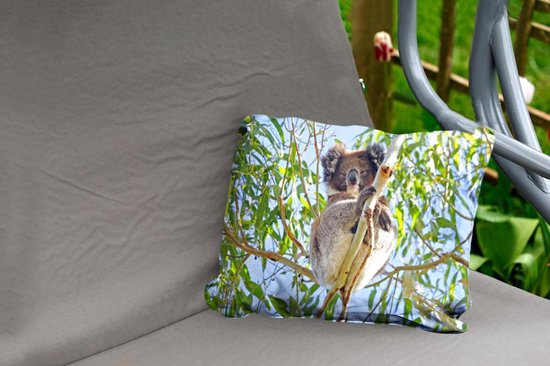 Springkussen Koala Buitenkussens - Tuin - Een koala in een boom voor een blauwe lucht ...