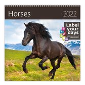 Helma CA03-22 Kalender 30 x 30 cm Paarden