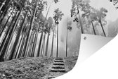 Muurdecoratie Zwart-wit foto van een trap tussen de bomen in de mist - 180x120 cm - Tuinposter - Tuindoek - Buitenposter