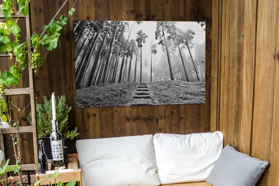 Affiche de jardin photo Zwart et blanc d'un escalier entre les arbres dans la brume 120x80 cm - Toile de jardin / Toile d'extérieur / Peintures d'extérieur (décoration de jardin)
