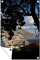 Tuinposter - Tuindoek - Tuinposters buiten - Een boom langs de kust van Funchal in Madeira - 80x120 cm - Tuin