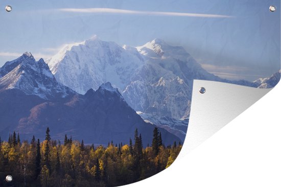 Tuinposters buiten Het indrukwekkende landschap van het Nationaal park Denali in Alaska tijdens de herfst - 90x60 cm - Tuindoek - Buitenposter