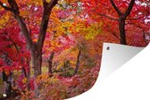 Muurdecoratie Kleurrijke Japanse esdoorns - 180x120 cm - Tuinposter - Tuindoek - Buitenposter