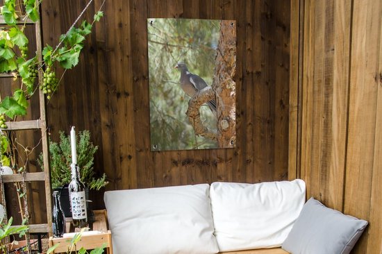 Tuinposter 60x90 cm - Tuindecoratie Houtduif - Boom - Natuur - Poster voor in de tuin - Buiten decoratie - Schutting tuinschilderij - Tuindoek muurdecoratie - Wanddecoratie balkondoek