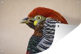 Muurdecoratie Fazant - Portret - Vogel - 180x120 cm - Tuinposter - Tuindoek - Buitenposter