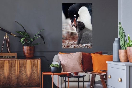 Muursticker Manchot Adélie - Nourrir Manchot Adélie - 60x90 cm - film adhésif autocollant - sticker mural repositionnable