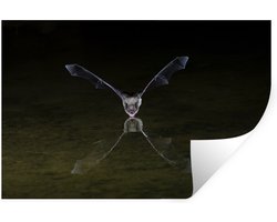 Foto: 