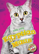 Cool Cats - Egyptian Maus
