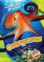 Ocean Life Up Close - Octopuses