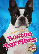 Awesome Dogs - Boston Terriers