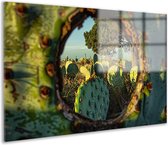 doorkijk glasschilderij - Cactus schilderij - Schilderij op glas Plant - Schilderijen op glas industrieel - Schilderijen plexiglas - Decoratie slaapkamer acrylglas 75x50 cm