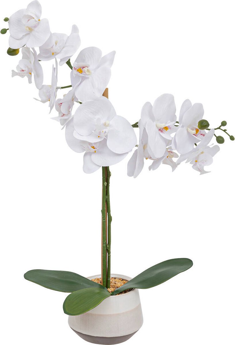 Witte kunstmatige orchidee in pot CLERA, 52 cm