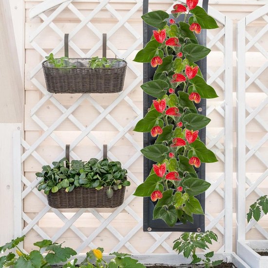Verticale wandtuin plantenbak van niet-geweven sto