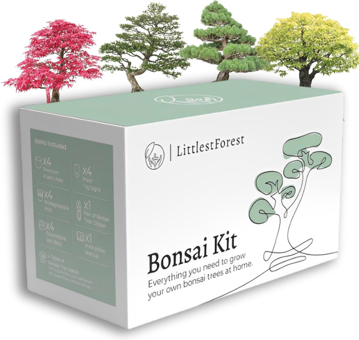 Bonsai Starter kit voor Beginners - Kweek Je Eigen Binnen- en Buitenbonsaibomen