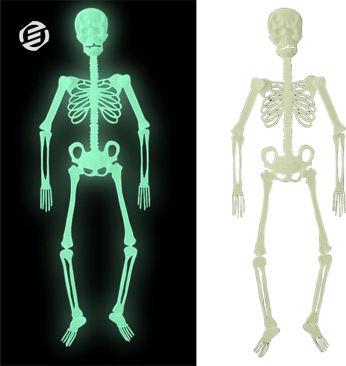 Equivera Halloween Decoratie - Halloween Versiering - Horror Versiering - voor Binnen en Buiten - Spin, Heks, Skelet, Pompoen en Spoken - 2024