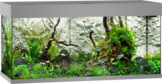 Juwel Aquarium Rio 180 Led 101x41x50 cm - Aquaria - Grijs Ca. 180 L