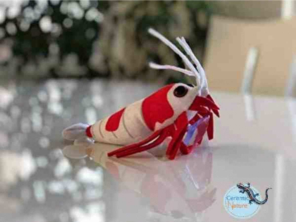Ceramicnature Crystal Red Shrimp Plush - Knuffel - 24x17x6 cm Rood Wit