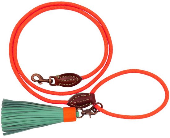 DWAM Hondenriem Carrot Cake - S