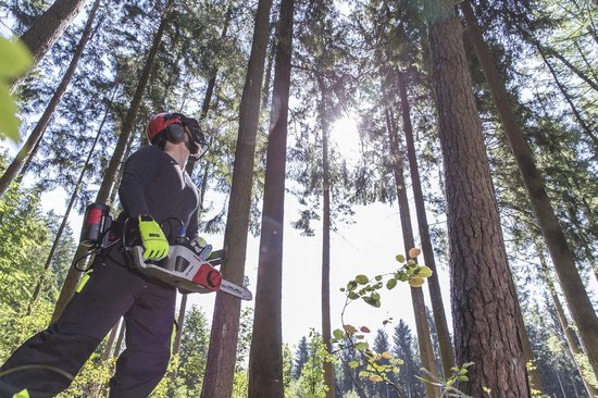 Accu-kettingzaag 30 cm met 40 V Li-Ion accu, gereedschapsloze kettingspanning van Central Park — afbeelding 3