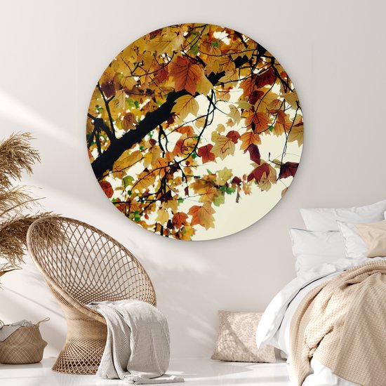 WallCircle - Wall Circle - Wall Circle Indoor - Arbres - Feuilles d'Automne - Nature - 120x120 cm - Décoration murale - Peintures Ronds XXL