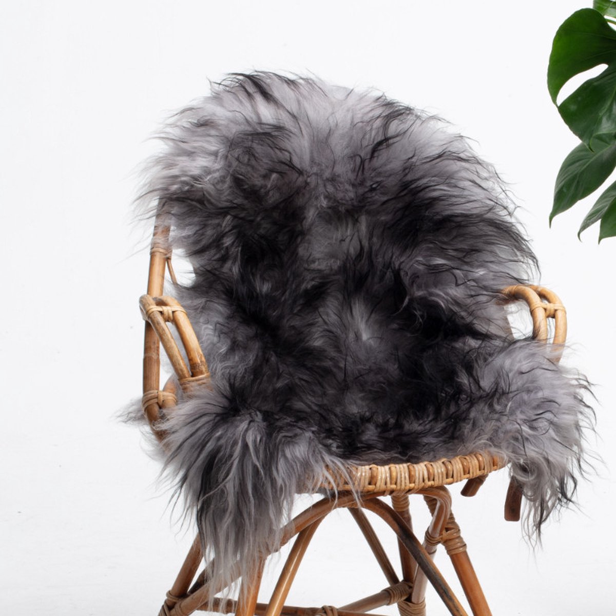 SHEEPY® | Schapenvacht | Foss (Grijs Zwart) M (100-105cm) - Sheepy.cc
