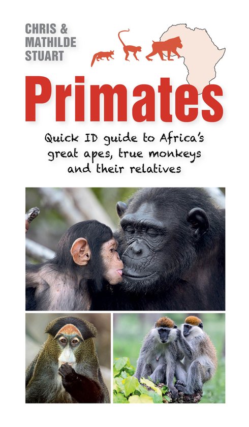 Primates - cover