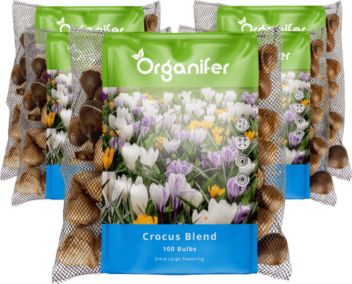 500 Krokussen Bloembollen - Bloembollen Krokus - Krokus - Bloembollen Mix - Biologische Bloembollen - Zomerbollen - (XXL Bloembollen Formaat 8/9 cm) - Organifer