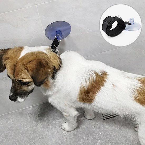 Droogzak voor katten | Droogkooi voor honden - Kat Grooming Rustige Droogzak voor katten | Droogkooi voor honden - Kat Grooming Rustige