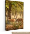 Vert, Deer, Forêt