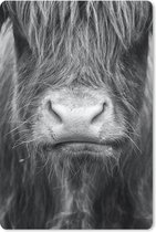 Muismat - Mousepad - Schotse Hooglander - Haar - Dieren - 18x27 cm - Muismatten