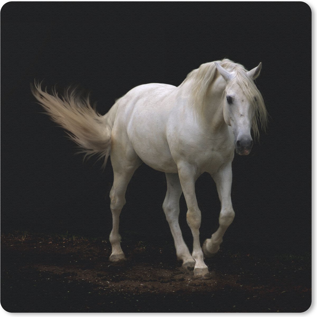 Muismat 30x30 cm - Mousepad Paarden - Boerderijdieren - Zwart - Muismatten