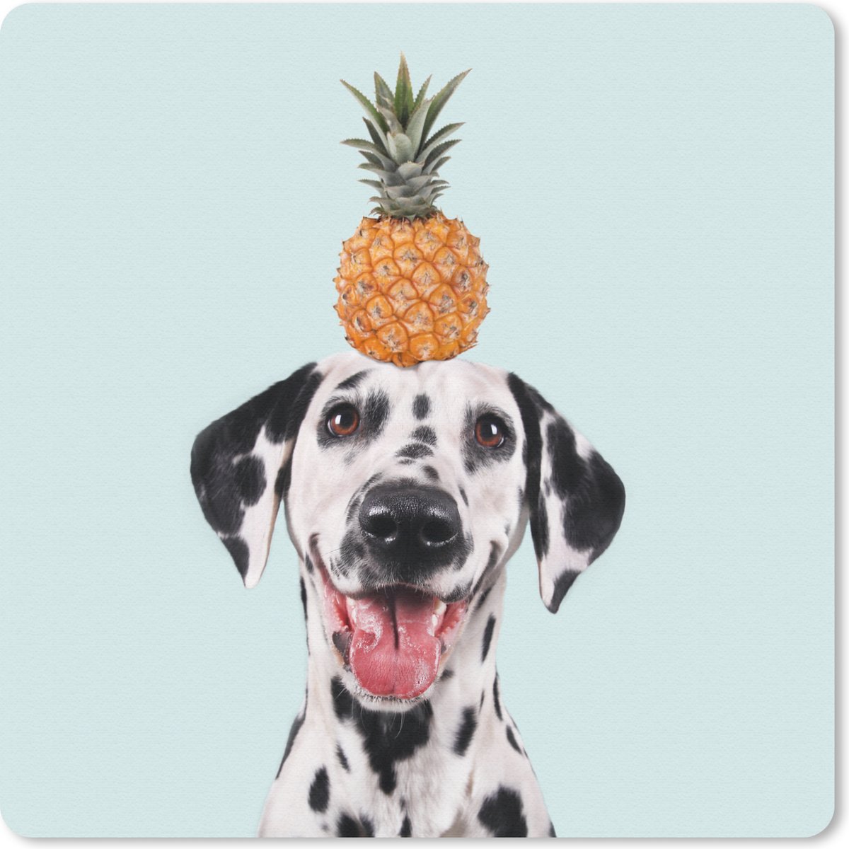 Muismat 20x20 cm - Mousepad Dalmatiër met een ananas op zijn hoofd - Muismatten