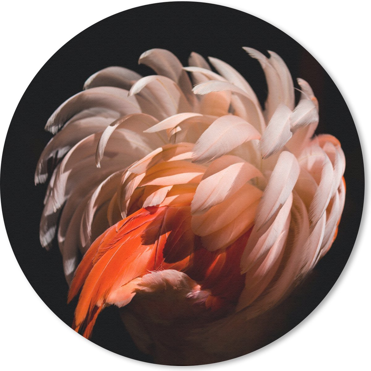 Muismat rond 50x50 cm - Mousepad Flamingo - Veren - Licht - Macro - Ronde muismatten