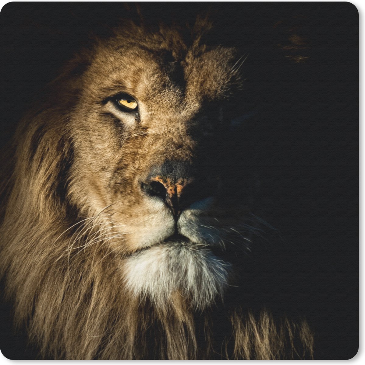 Muismat 20x20 cm - Mousepad Leeuw - Licht - Zwart - Muismatten
