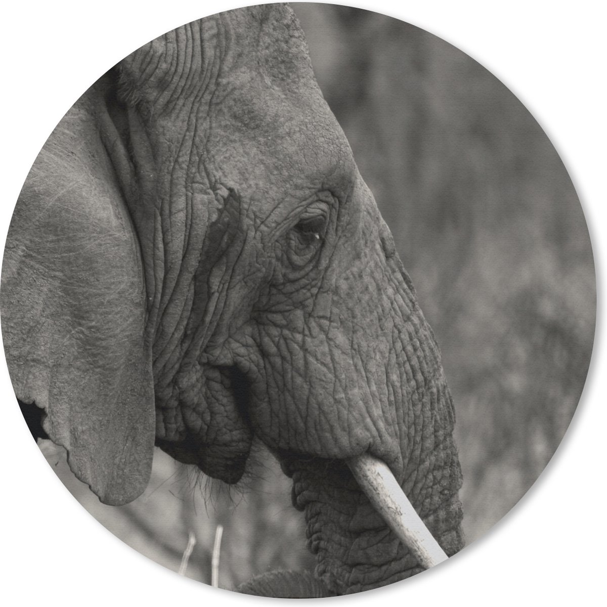 Muismat rond 40x40 cm - Mousepad Olifant - Dieren - Zwart - Wit - Ronde muismatten