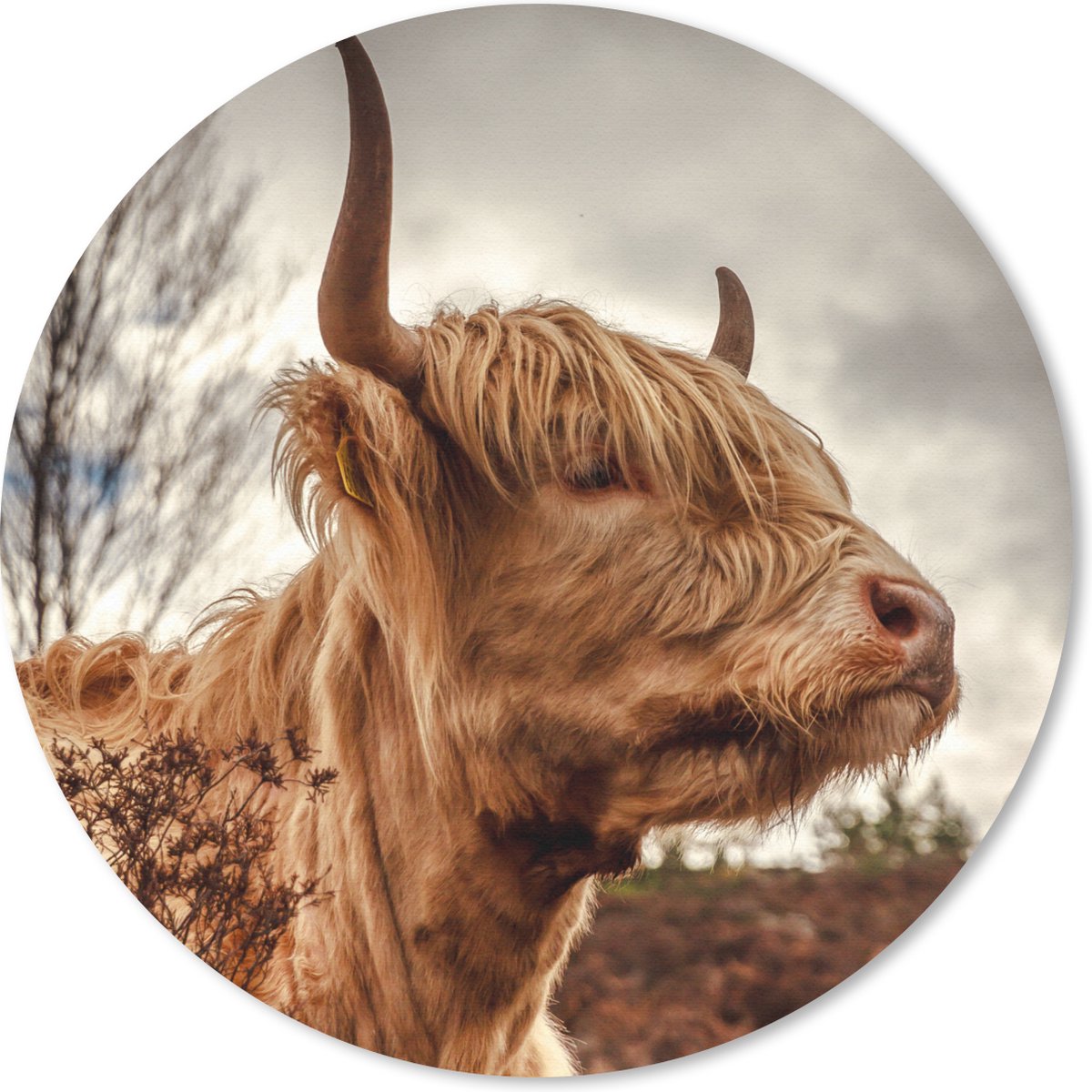 Muismat rond 40x40 cm - Mousepad Schotse Hooglander - Struik - Heide - Ronde muismatten