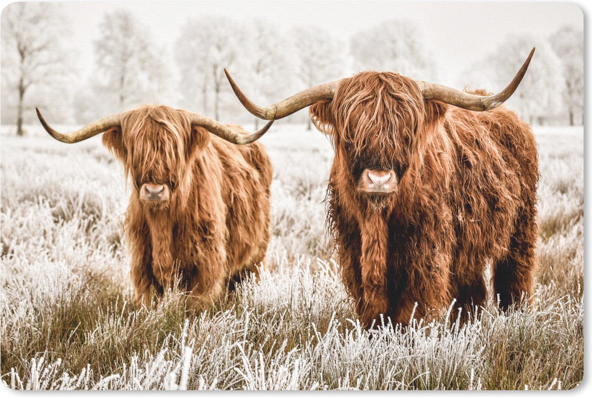 Muismat 27x18 cm - Mousepad Schotse hooglander - Koe - Natuur - Winter - Muismatten