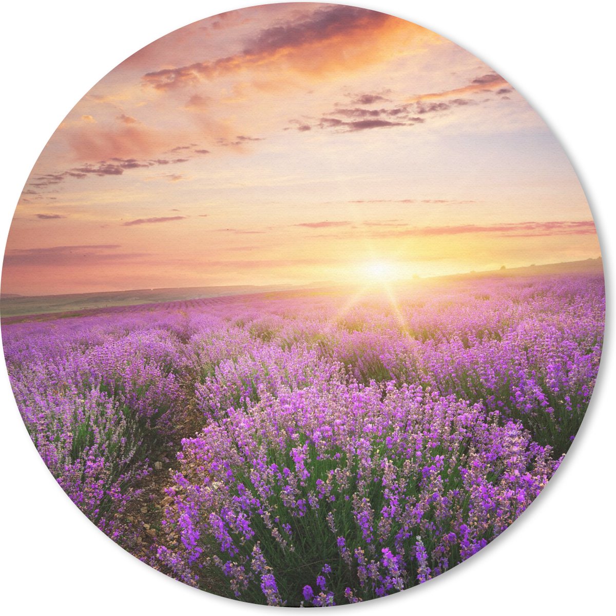 Muismat rond 40x40 cm - Mousepad Lavendel - Zon - Bloemen - Ronde muismatten