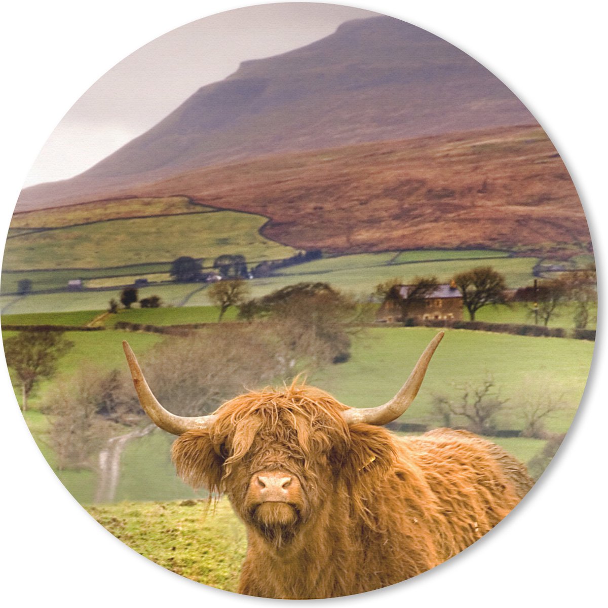 Muismat rond 20x20 cm - Mousepad Schotse Hooglander - Berg - Herfst - Ronde muismatten