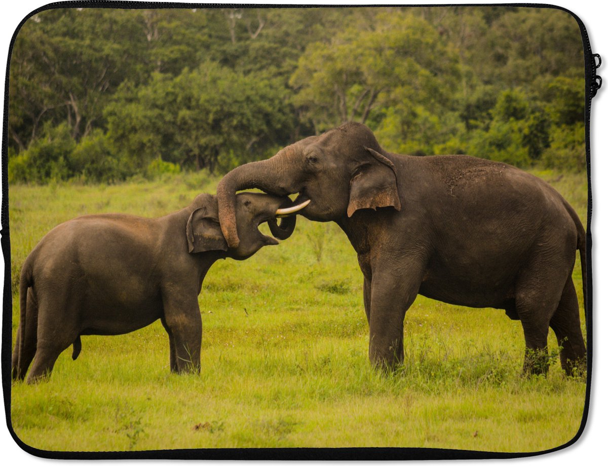 Laptophoes 17 inch - Olifant - Gras - Dieren - Groen - Laptop sleeve - Binnenmaat 41x28 cm - Zwarte achterkant