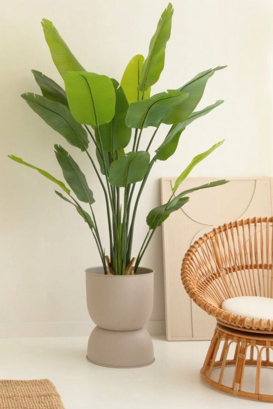 Strelitzia Kunstplant - 180 cm