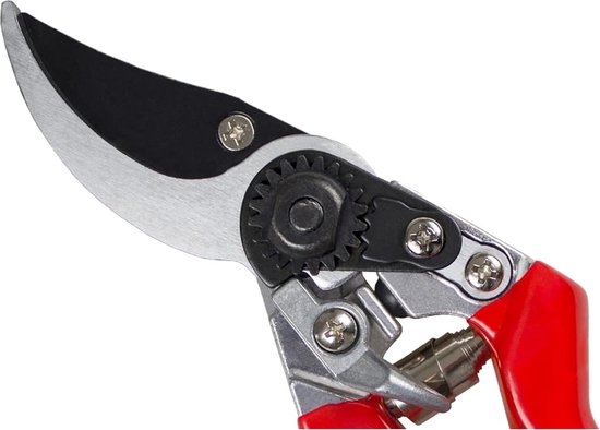 Sécateur Solinger Staalwaren avec poignée en rouleau VENTE