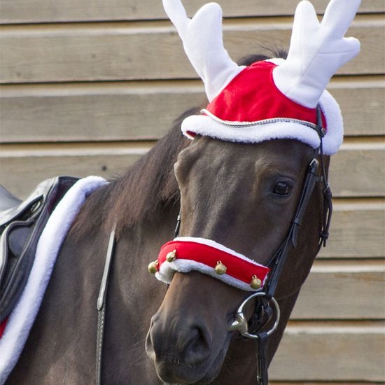 Foto: Qhp rendiermuts paarden paardenmuts rood wit