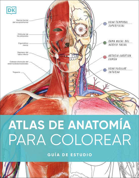 Atlas de anatomia para colorear (The Human Body Coloring Boo ... - cover
